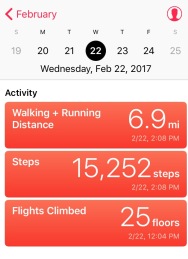 walking app shows 6.0 miles and 15,252 steps